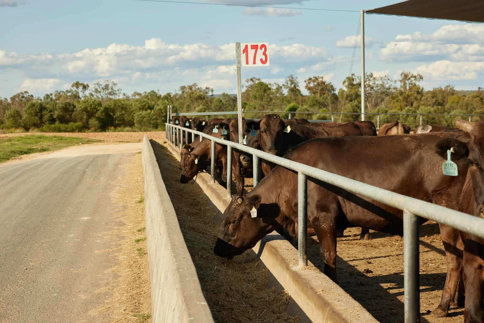 Additional image 4 of 91 Mort Street, Toowoomba City QLD 4350