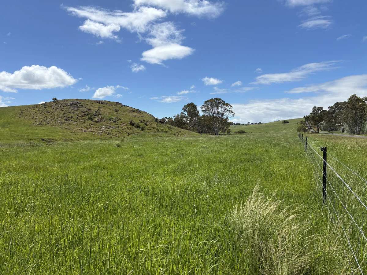Additional image 16 of 1948 Nareen Road, Nareen VIC 3315