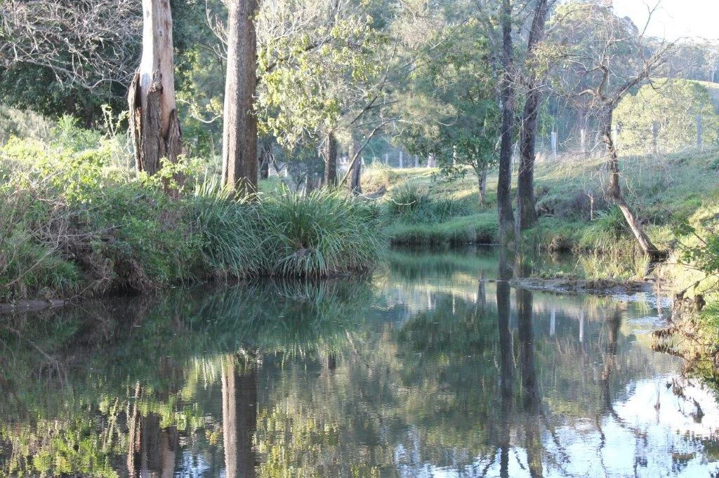 Additional image 8 of 665 Theresa Creek Road, Theresa Creek NSW 2469