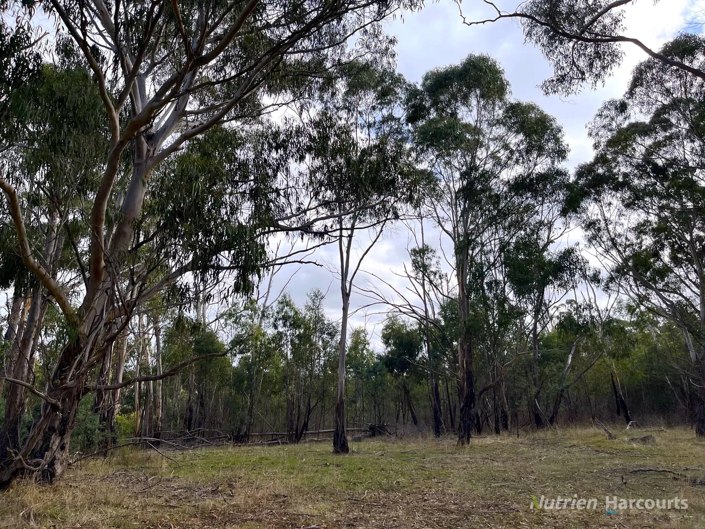 Additional image 2 of . Youngs Road, Baynton VIC 3444