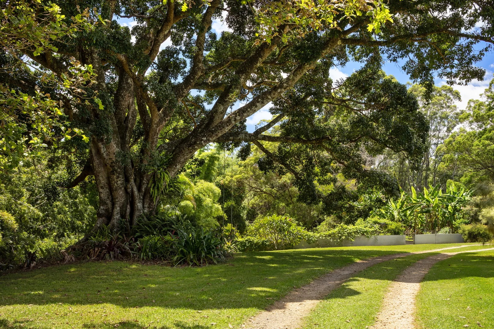 Additional image 5 of 403 Binna Burra Road, Federal NSW 2480