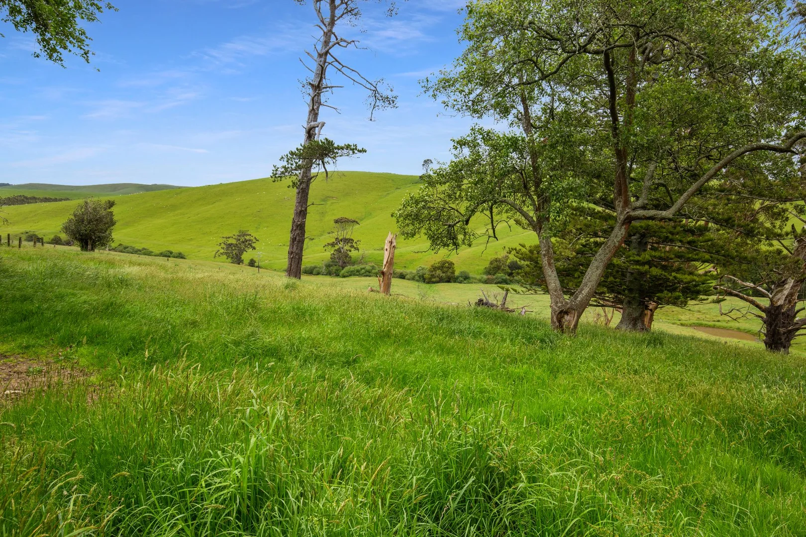 Additional image 27 of 3015 South Gippsland Highway, Stony Creek VIC 3957