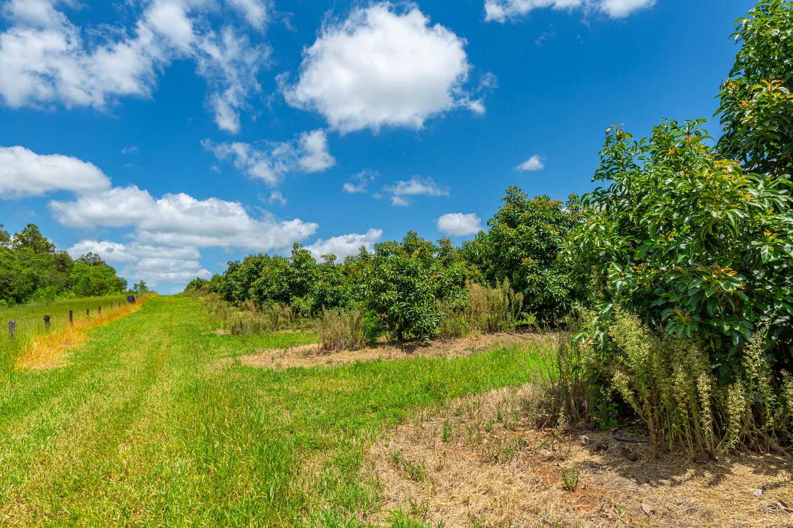 Additional image 6 of 807 Pine Creek Road, Givelda QLD 4670