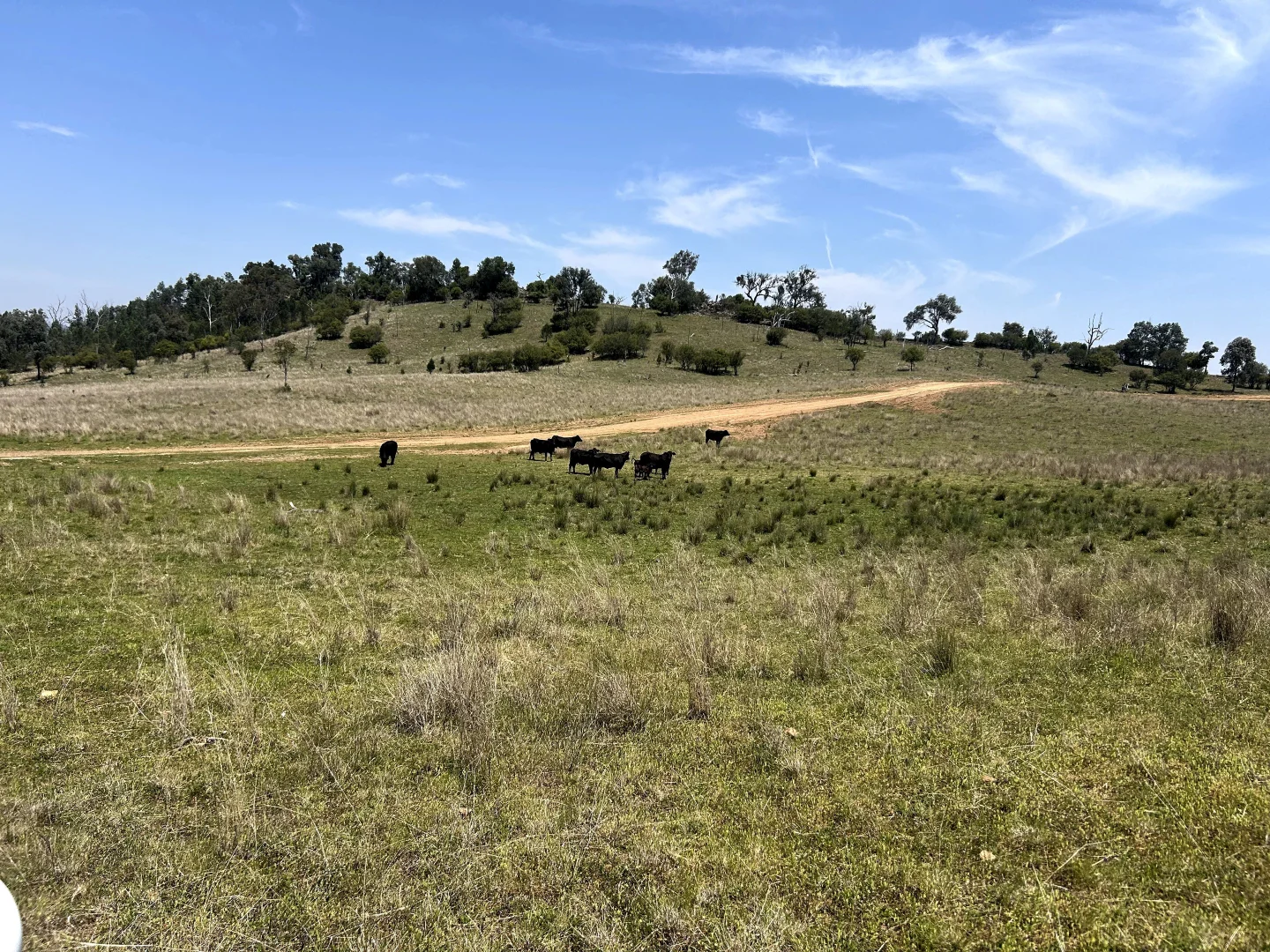 Additional image 14 of Riverview Road, Bingara NSW 2404