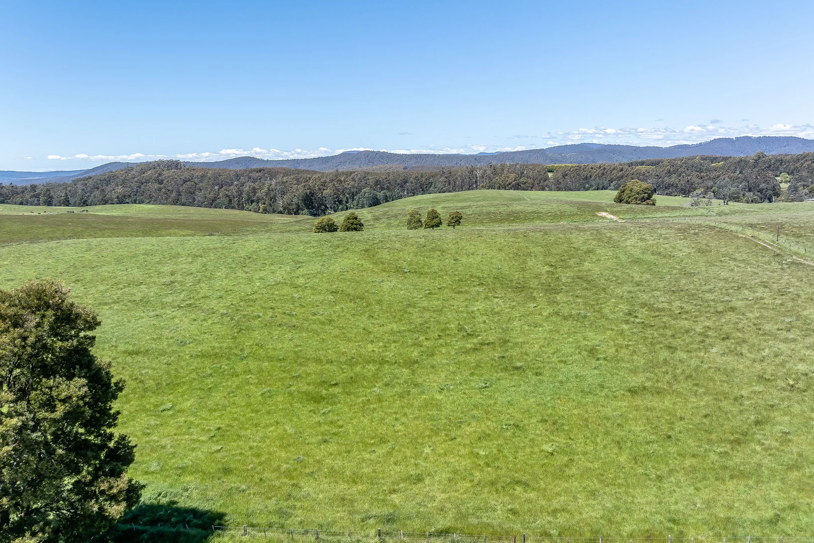 Additional image 18 of 696 Golconda Road, Lebrina TAS 7254