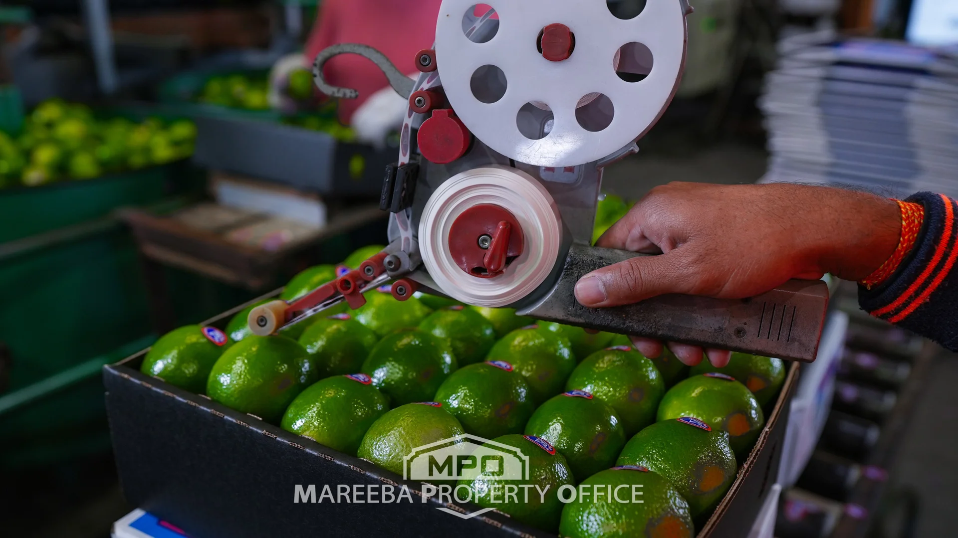 Additional image 21 of 4283 Kennedy Highway, Mareeba QLD 4880