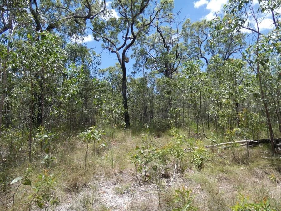 Additional image 8 of 668 Matchbox Road, Deepwater QLD 4674