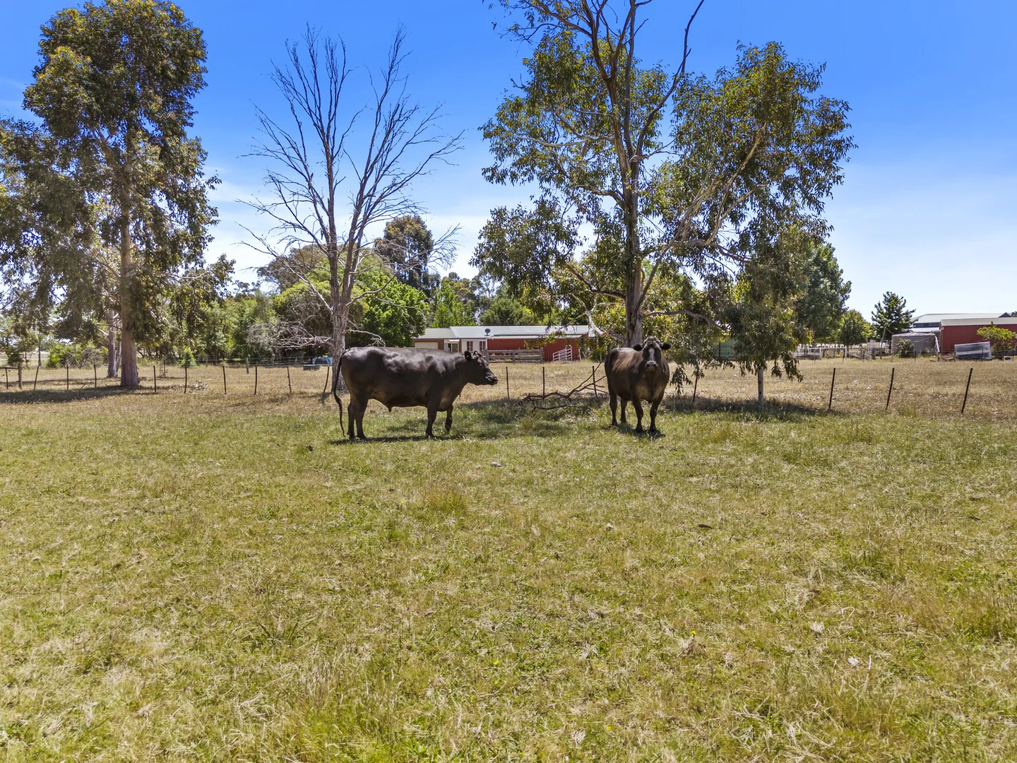 Additional image 31 of 1225 Katamatite-Shepparton Road, Invergordon VIC 3636