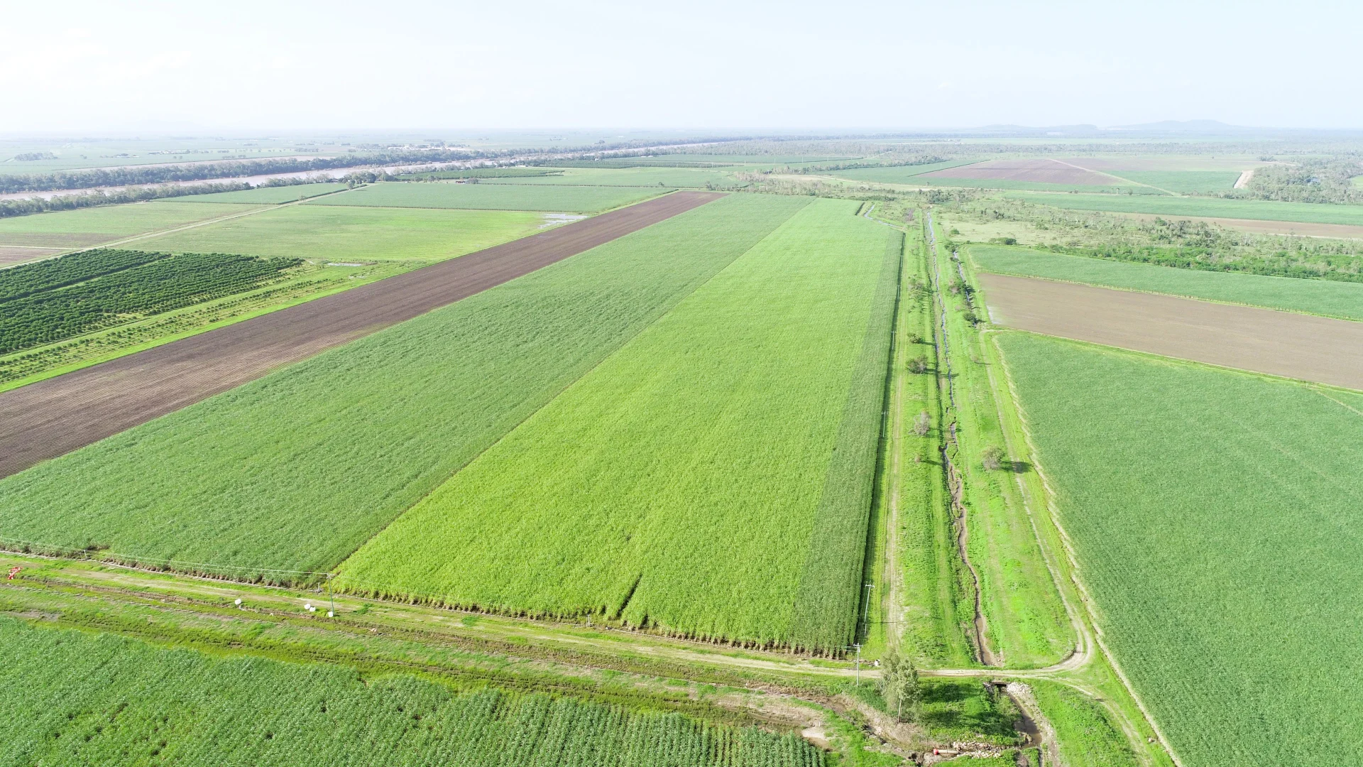 Additional image 4 of Kirknie QLD 4806