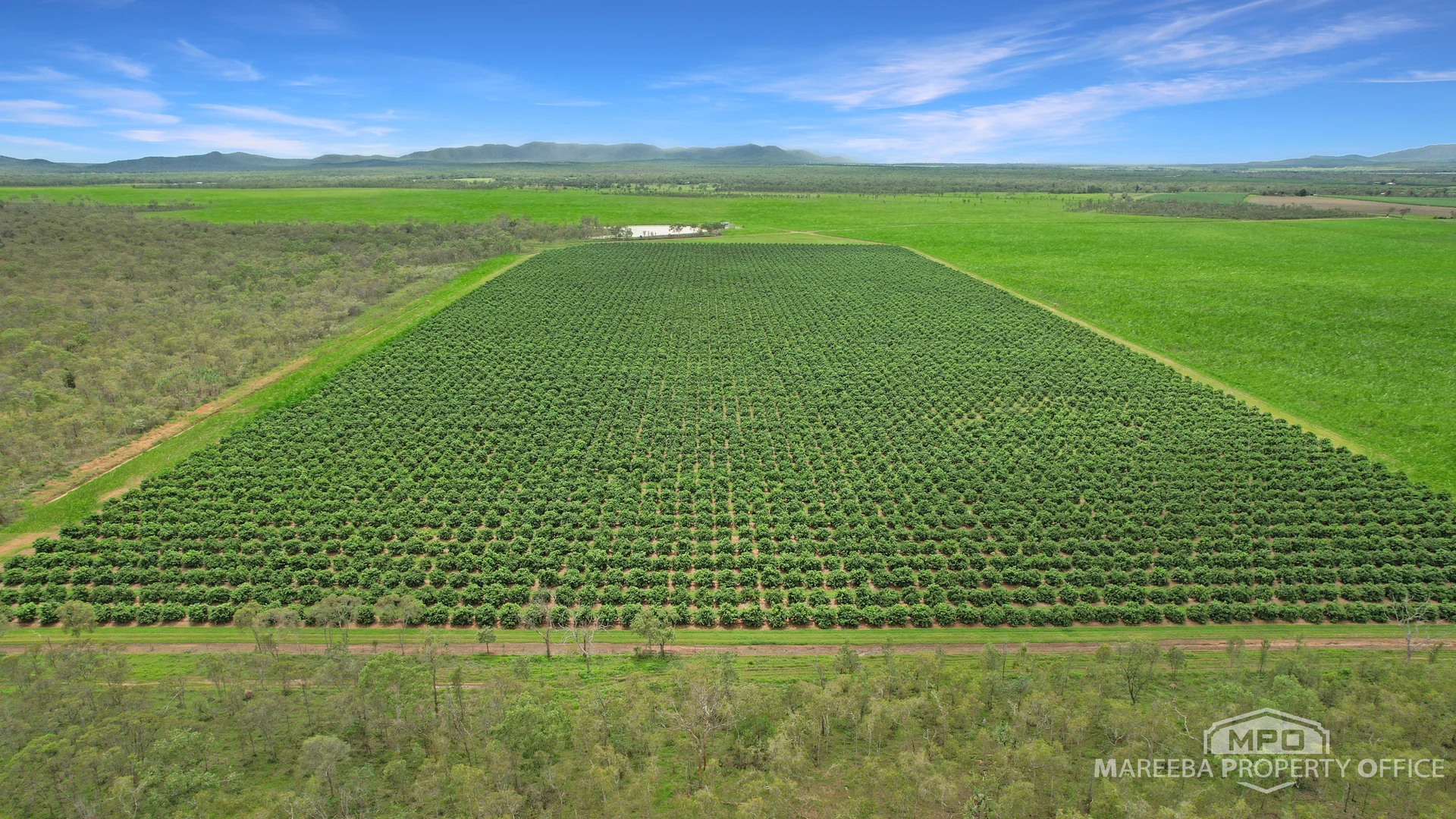 Additional image 3 of 398 Leadingham Road, Dimbulah QLD 4872