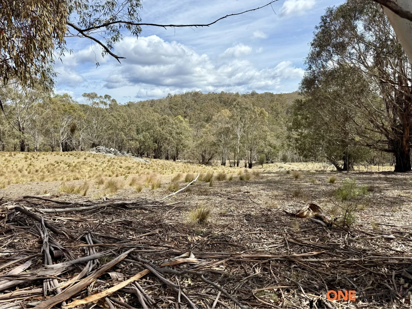 Additional image 18 of Lots 73 & 78 / 125 Fistys Lane, Jerangle NSW 2630