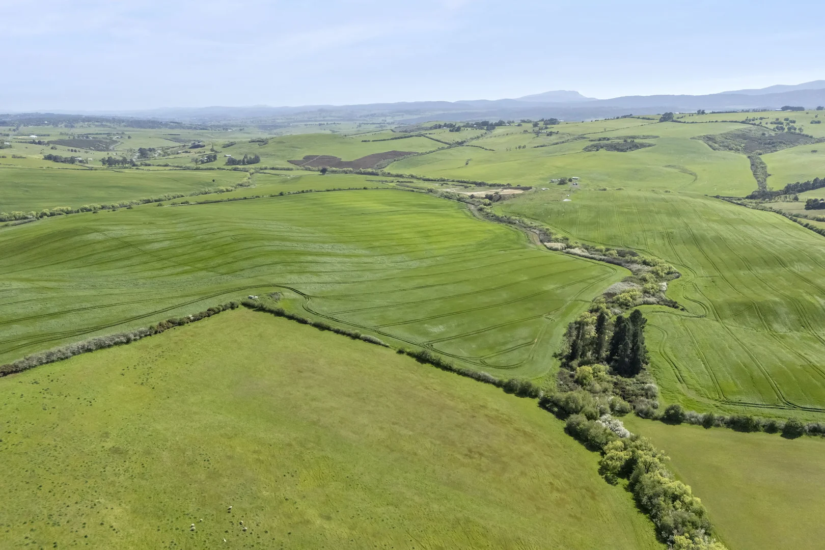 Additional image 4 of . White Hills Road, White Hills TAS 7258
