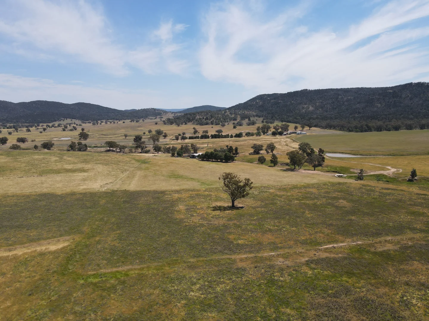 Additional image 7 of "Babynda" 829 Eulimore Road, Eugowra NSW 2806
