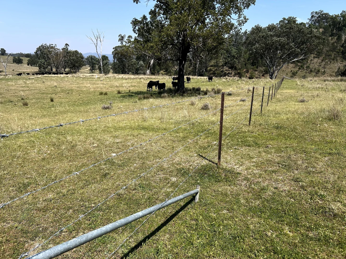 Additional image 18 of Riverview Road, Bingara NSW 2404