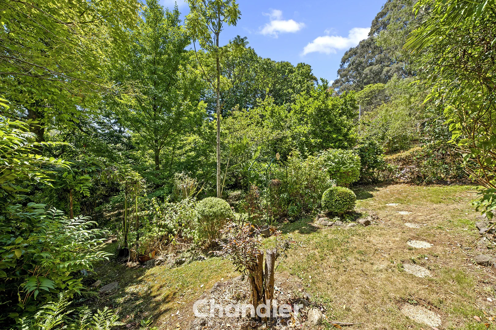 Additional image 14 of 7 Emberson Street, Kallista VIC 3791