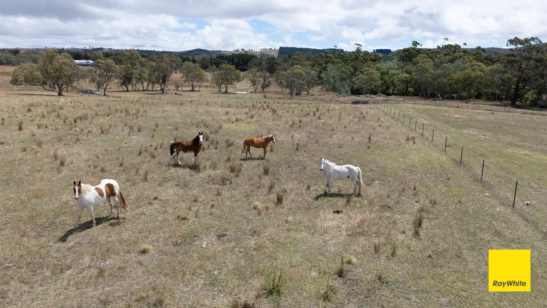 Additional image 40 of 1154 Goulburn Road, Boro NSW 2622