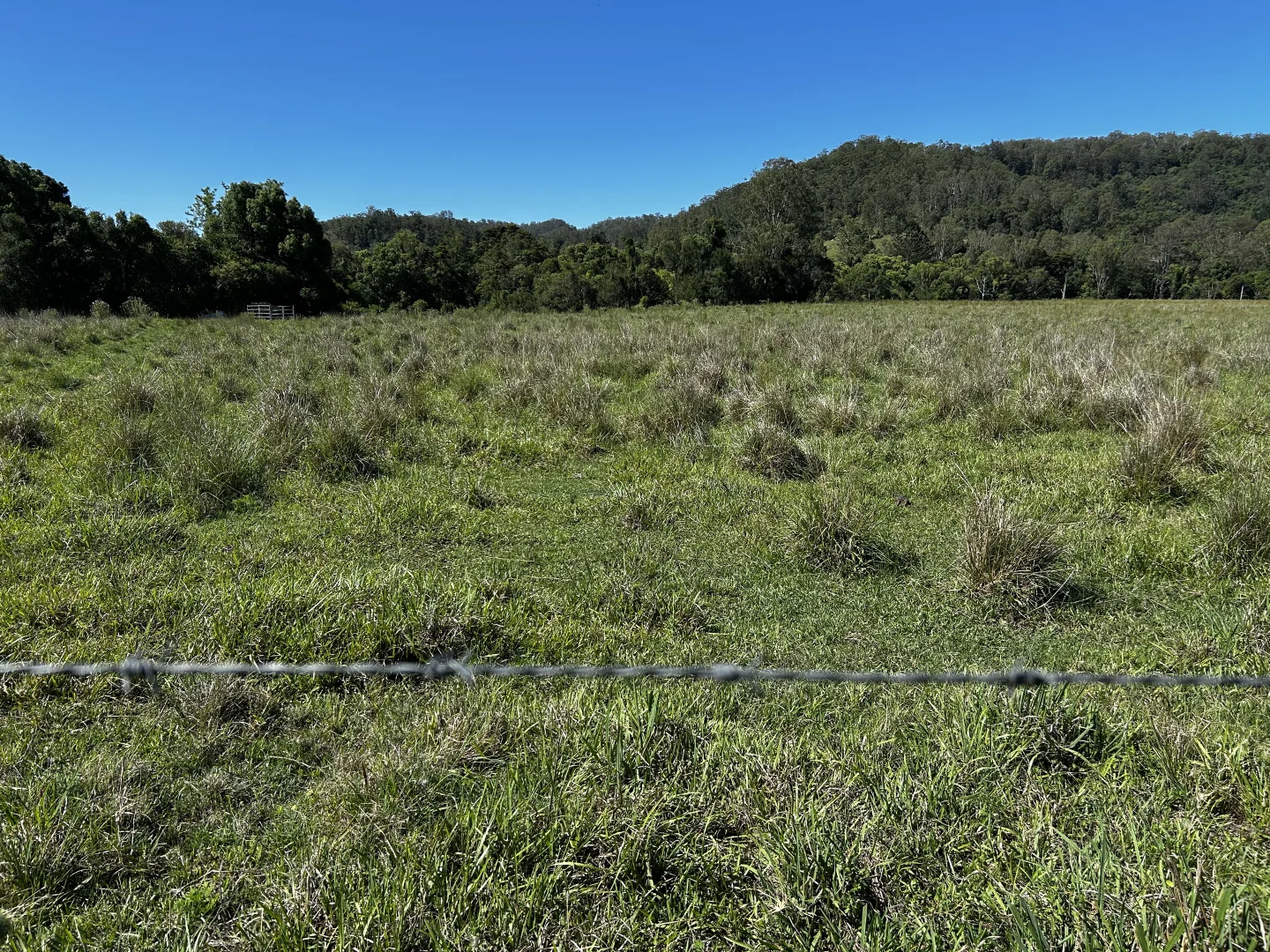 Additional image 19 of 504 Jiggi Road, Jiggi NSW 2480