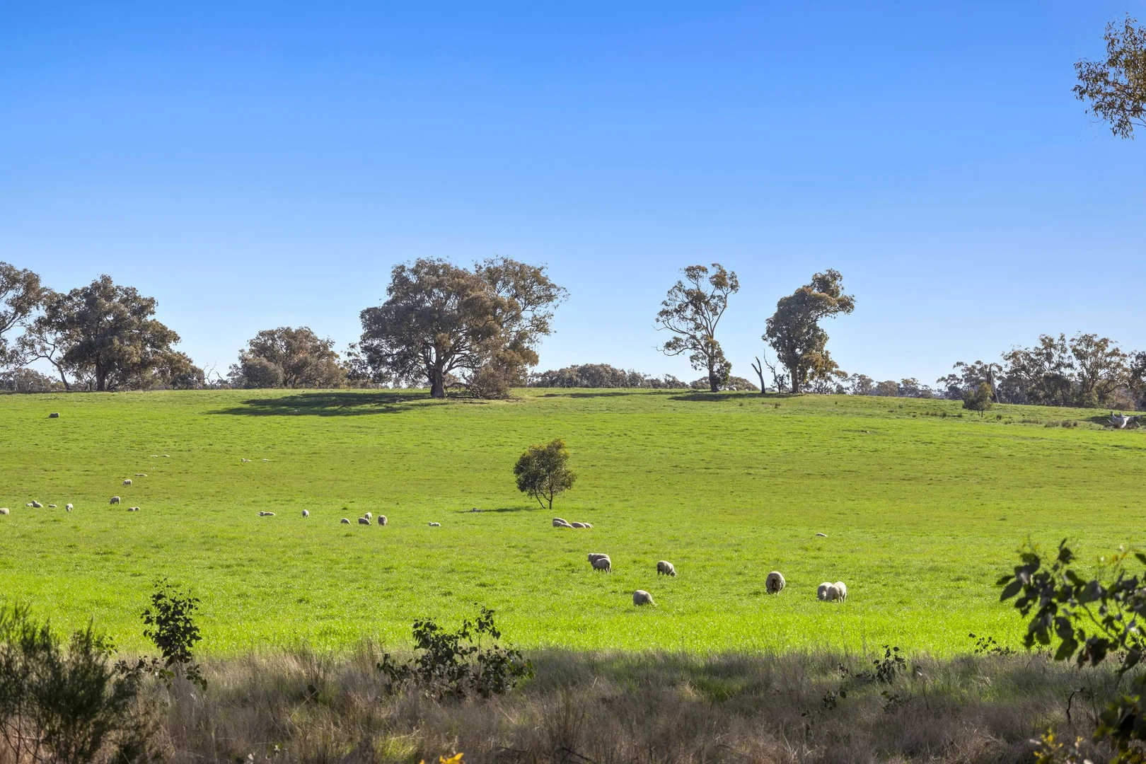 Additional image 8 of 189 Siddles Road, Redesdale VIC 3444