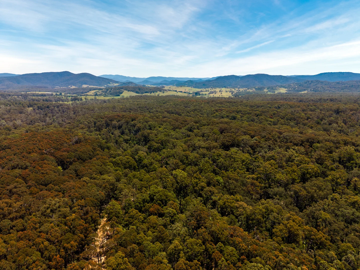 Additional image 3 of 1824 Mount Darragh Road, Wyndham NSW 2550