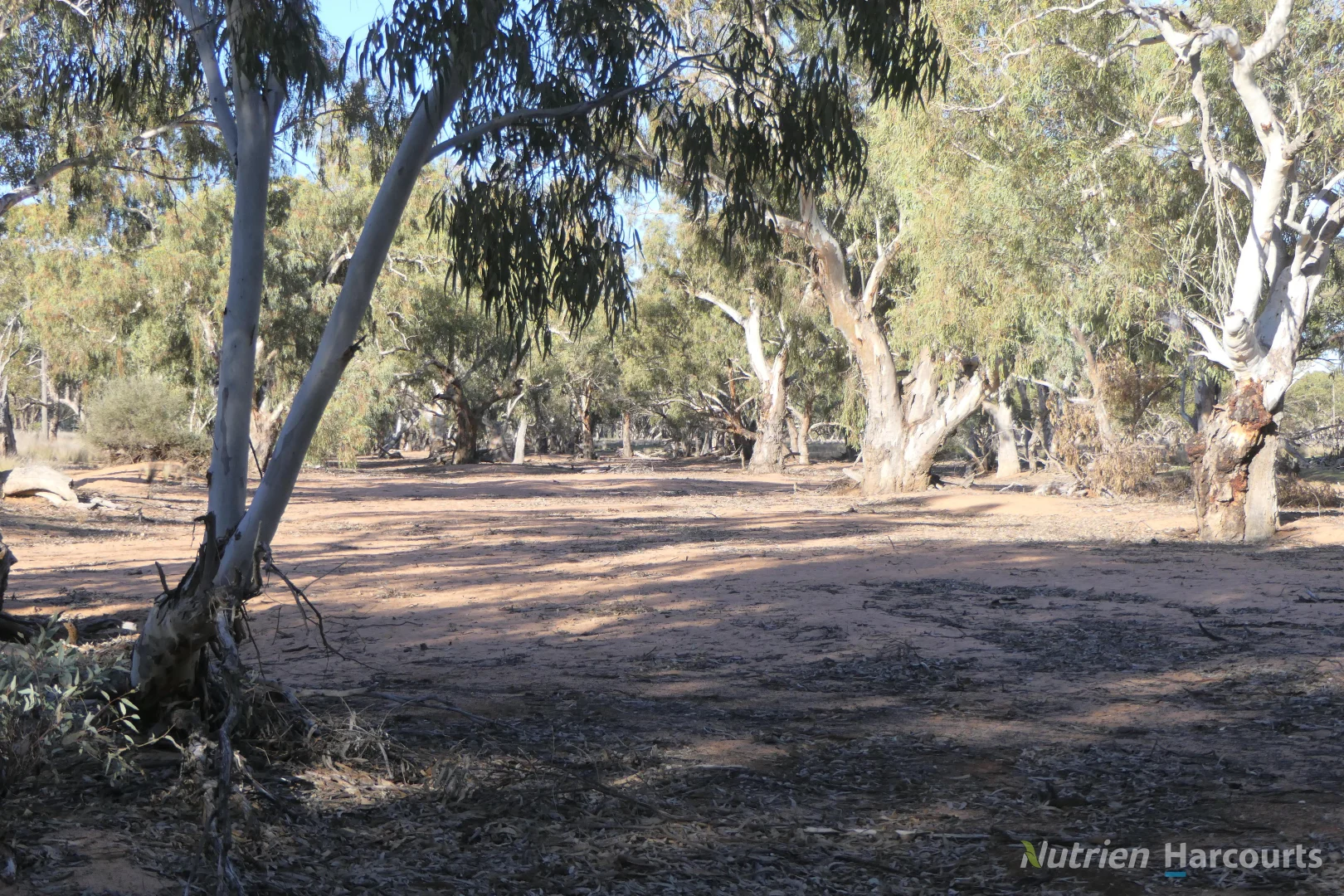 Additional image 16 of * YARRANVALE, Nymagee NSW 2831