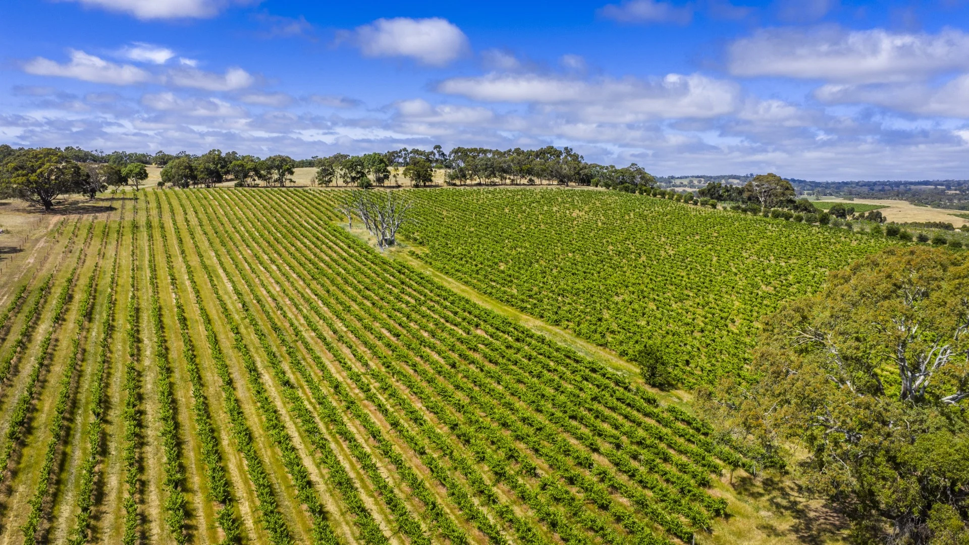 Additional image 4 of 178 Jutland Road, Springton SA 5235