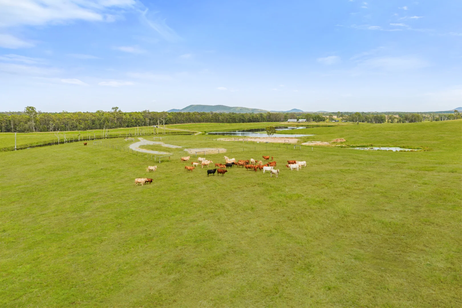 Additional image 16 of 1600 Anderleigh Road, Anderleigh QLD 4570