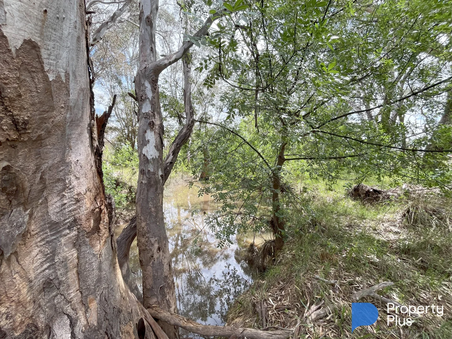 Additional image 13 of CA 14 & CA 21 Harpers Lane, Wedderburn VIC 3518