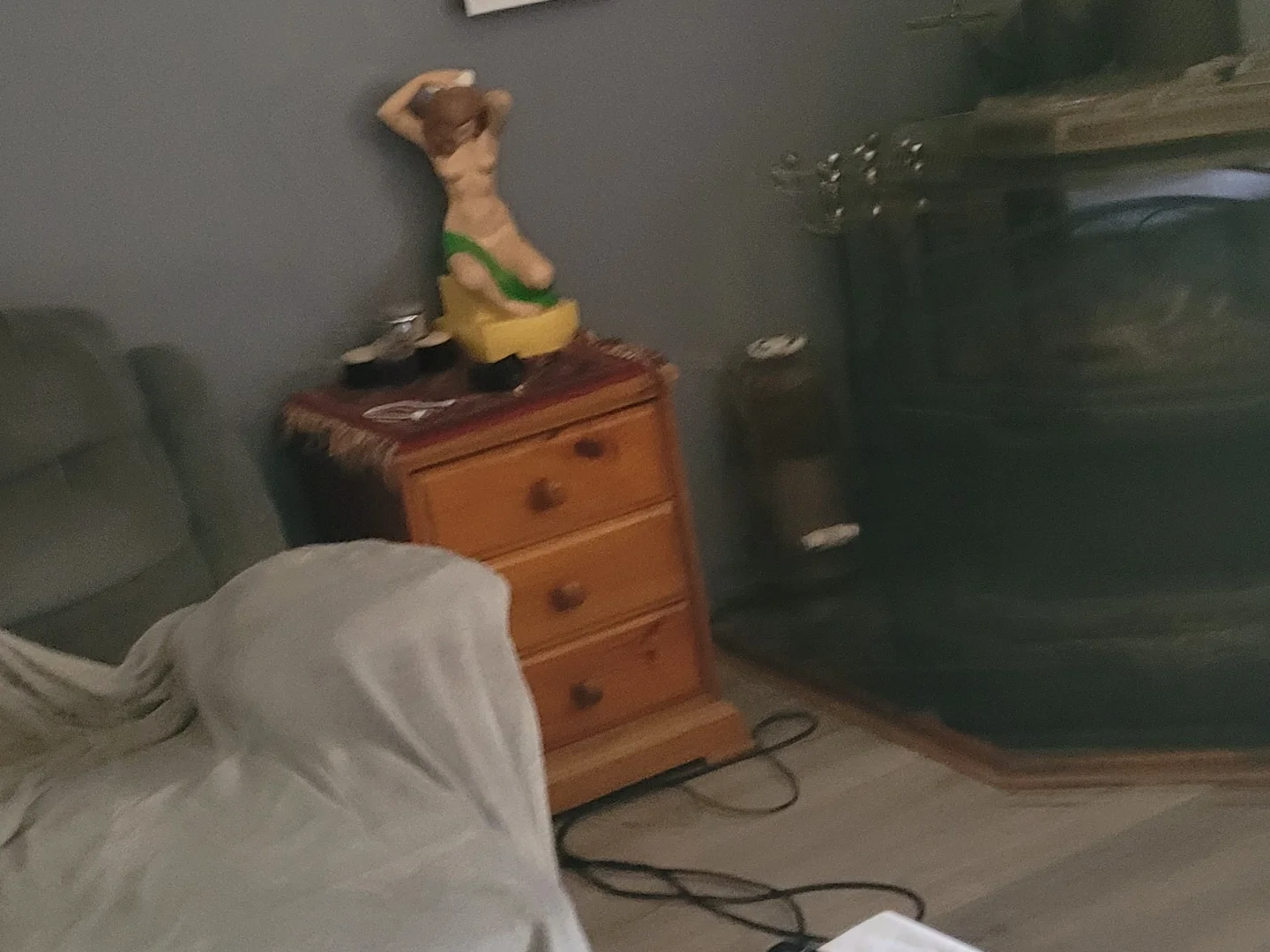 Additional image 4 of 1809 Bonang Road, Delegate River VIC 3888