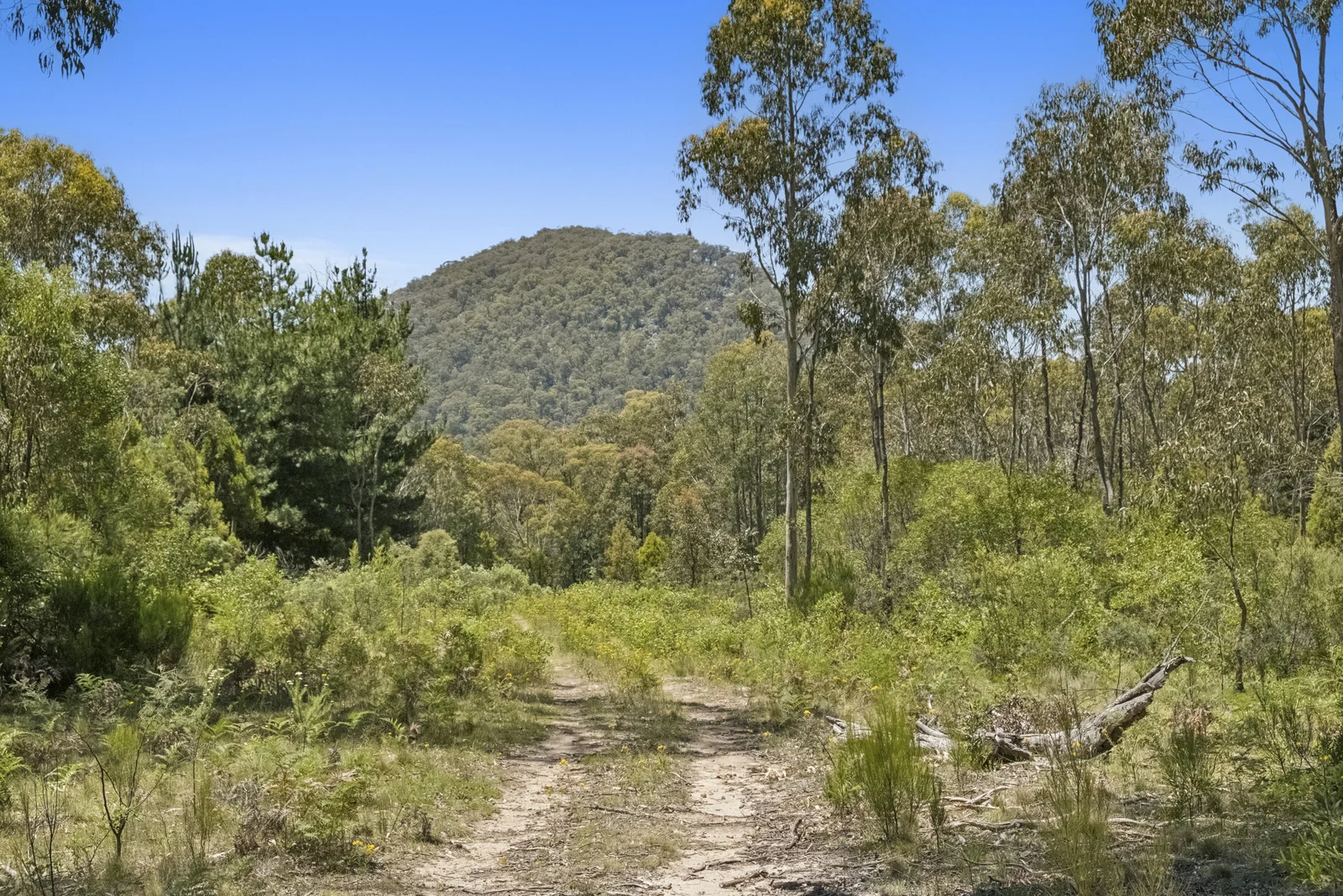 321 Log Bridge Creek Road, Wee Jasper NSW 2582