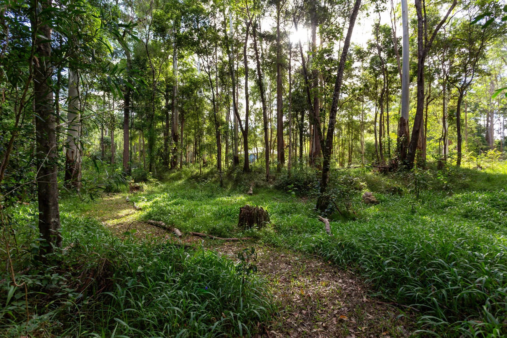 Additional image 36 of 245 Highfield Rise, Pomona QLD 4568