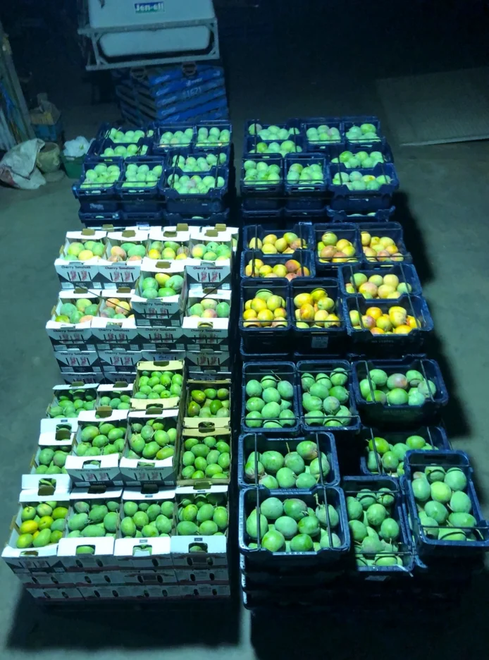 Additional image 13 of Midlands Road, Dongara WA 6525