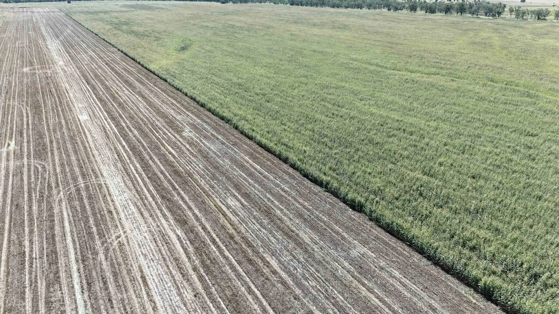 Additional image 15 of Springsure QLD 4722