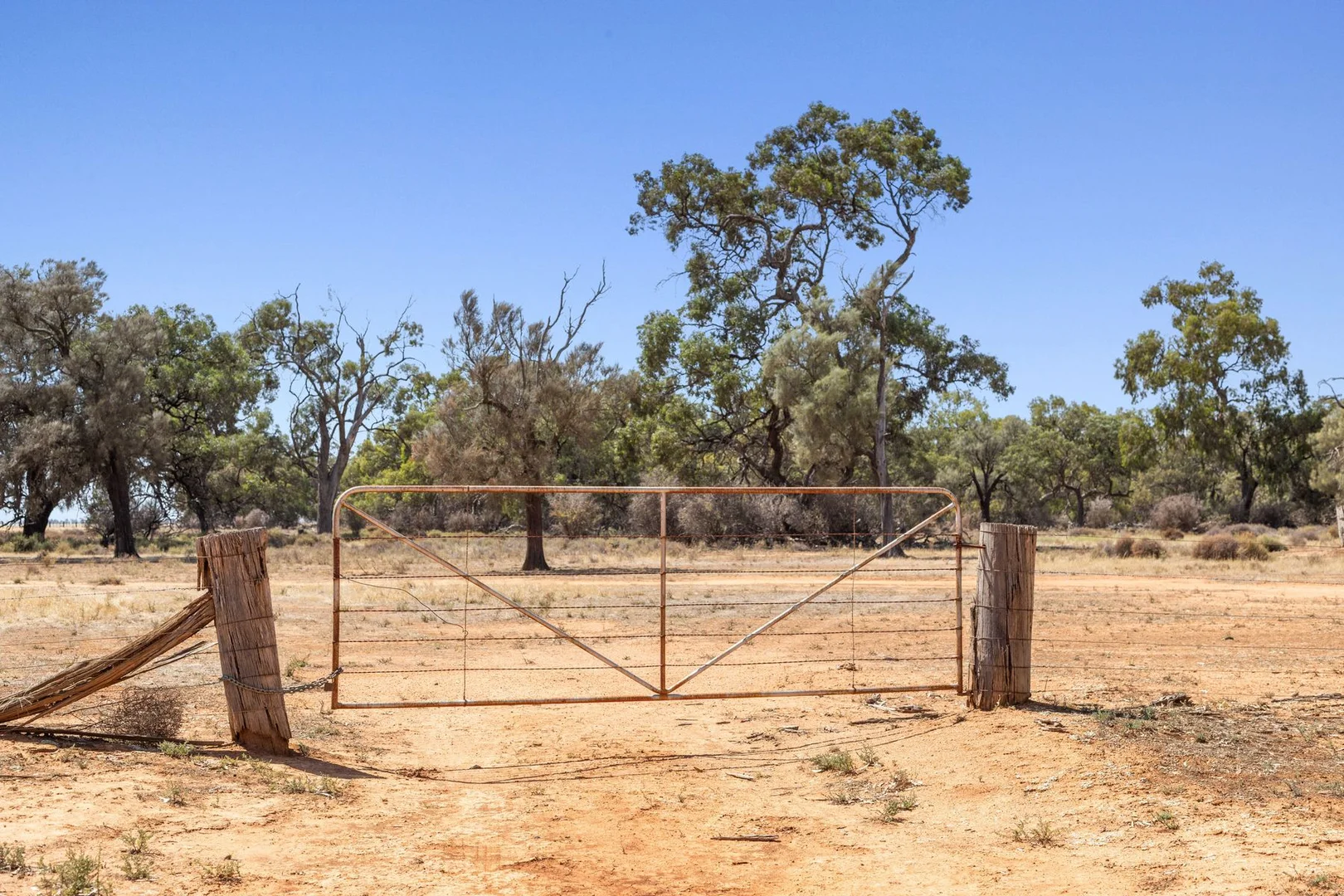 Additional image 7 of Cnr Forbes & Mitchell Roads, Mitiamo VIC 3573
