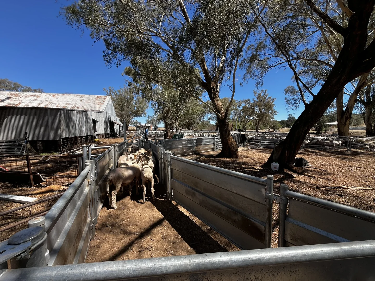 Additional image 20 of Address Via Request Road, Grenfell NSW 2810