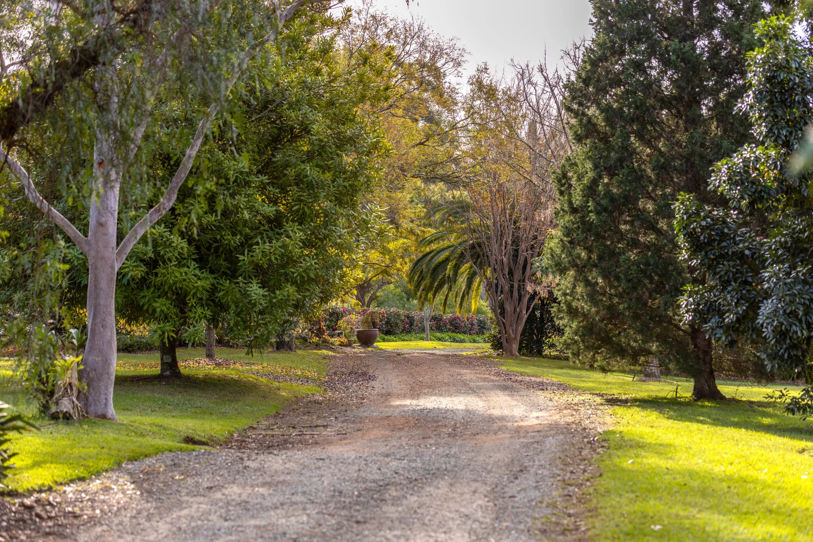 Additional image 19 of 155 Spicers Road, Rainbow Flat NSW 2430