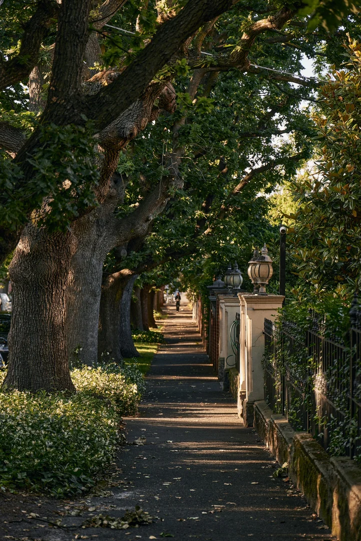 Additional image 20 of 646 High Street, Prahran VIC 3181