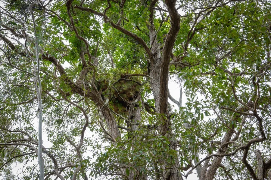 Additional image 16 of Lot 18 Sherwood Creek Road, Upper Corindi NSW 2456