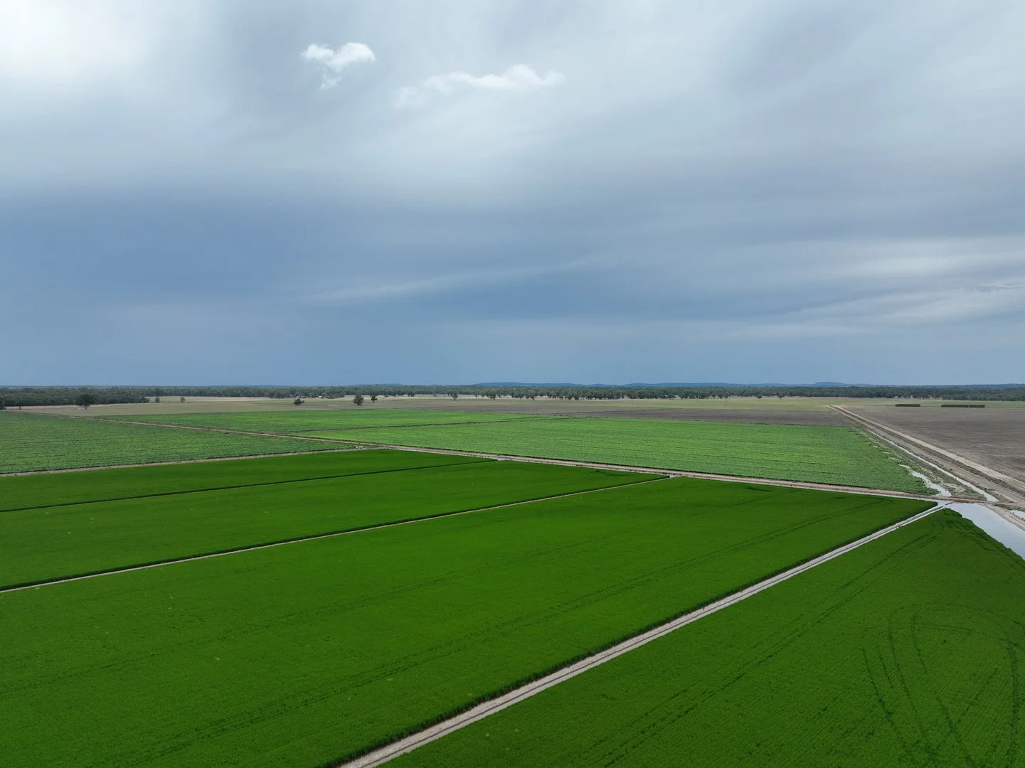 10755 Sturt Highway, Narrandera NSW 2700