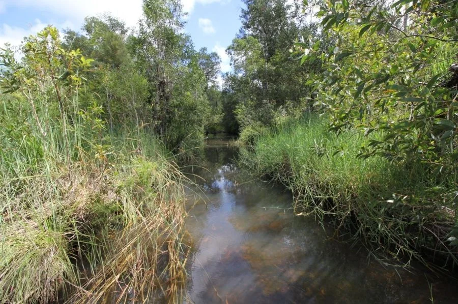 Additional image 16 of Lot 26 Tableland Road, Mount Maria QLD 4674