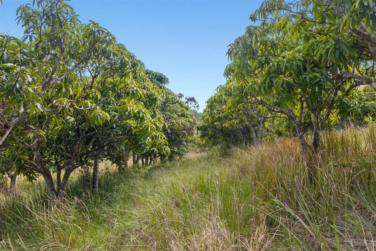 Additional image 17 of 376 Findon Creek Road, Findon Creek NSW 2474