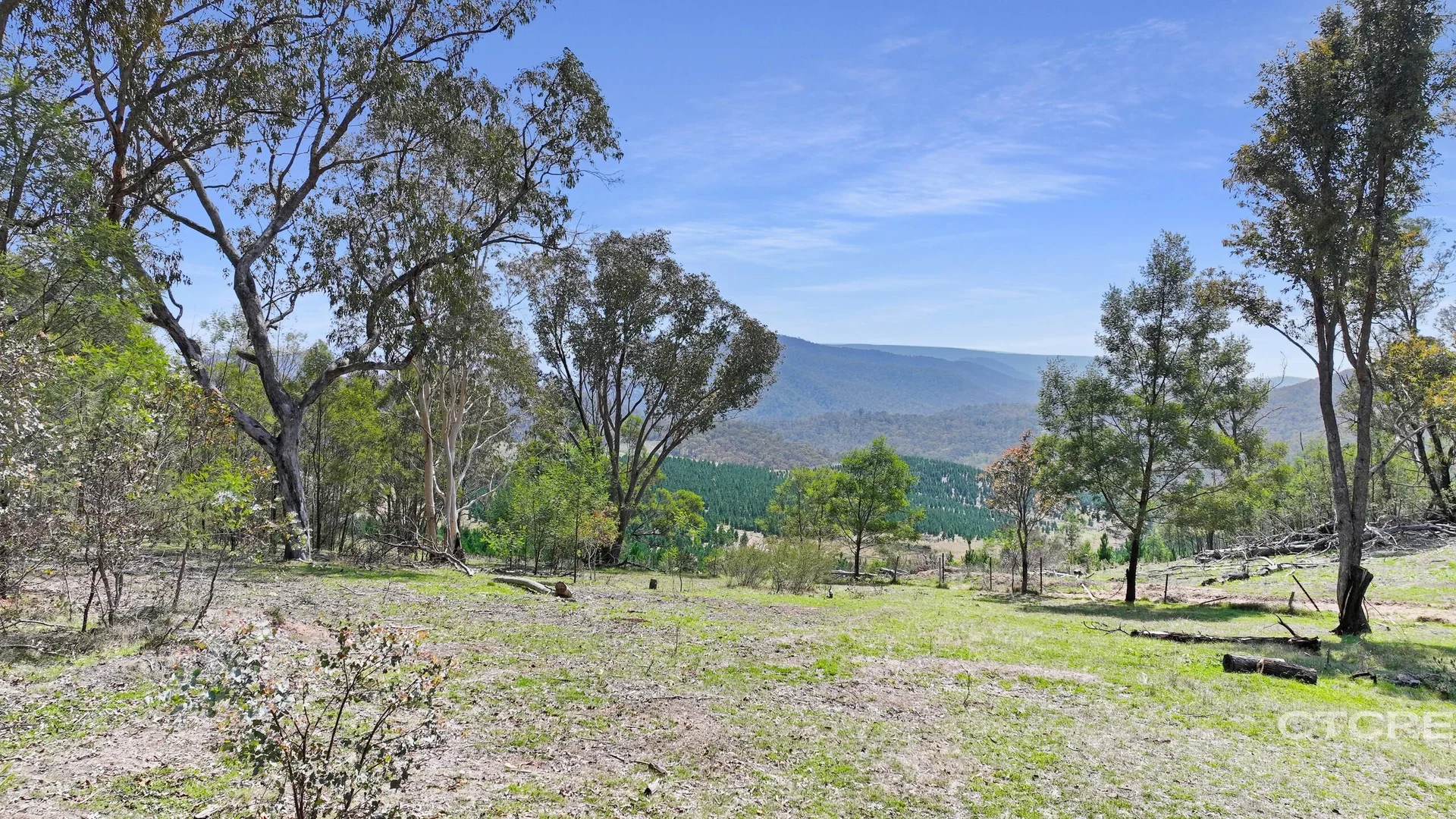 Additional image 14 of 25 Warm Corners Track, Bonang VIC 3888