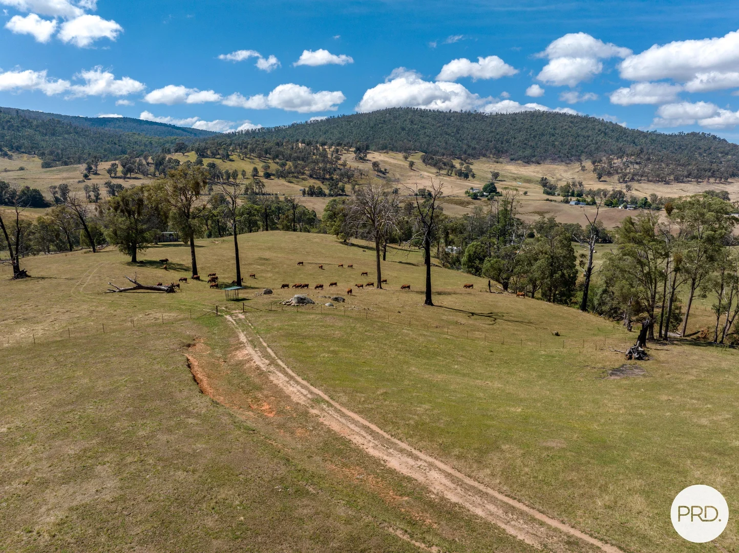 Additional image 76 of 1100 Batlow Road, Tumbarumba NSW 2653