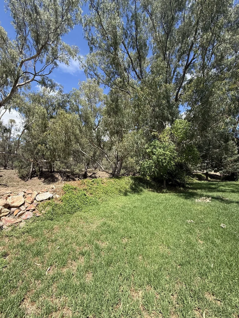 Additional image 61 of 506 North Forbes Rd, Condobolin NSW 2877