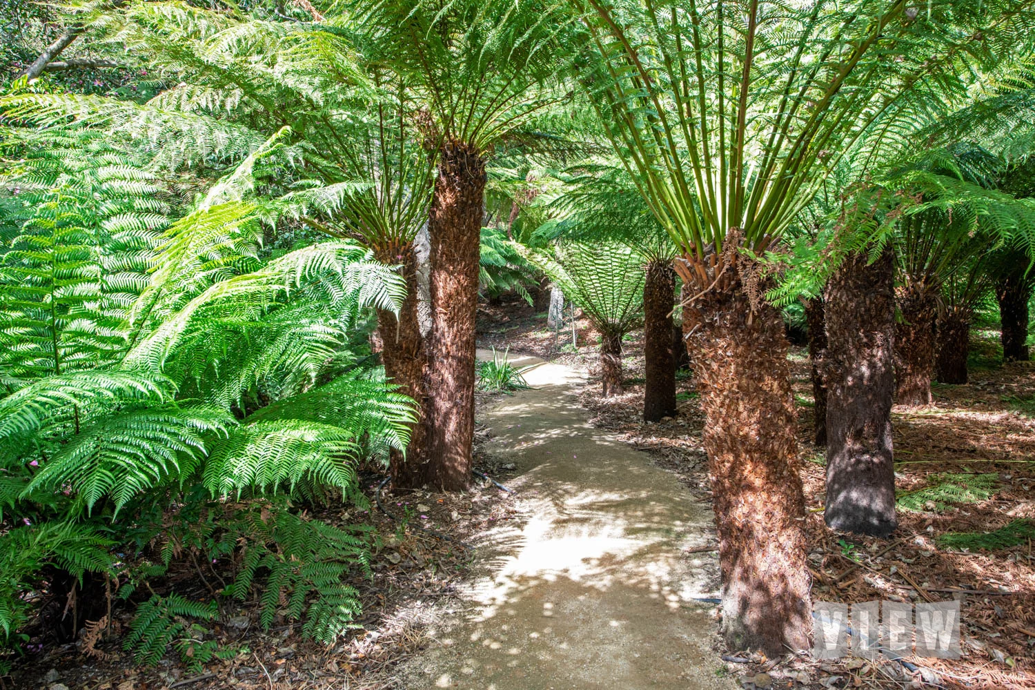 Additional image 25 of 317 Port Road, Boat Harbour Beach TAS 7321