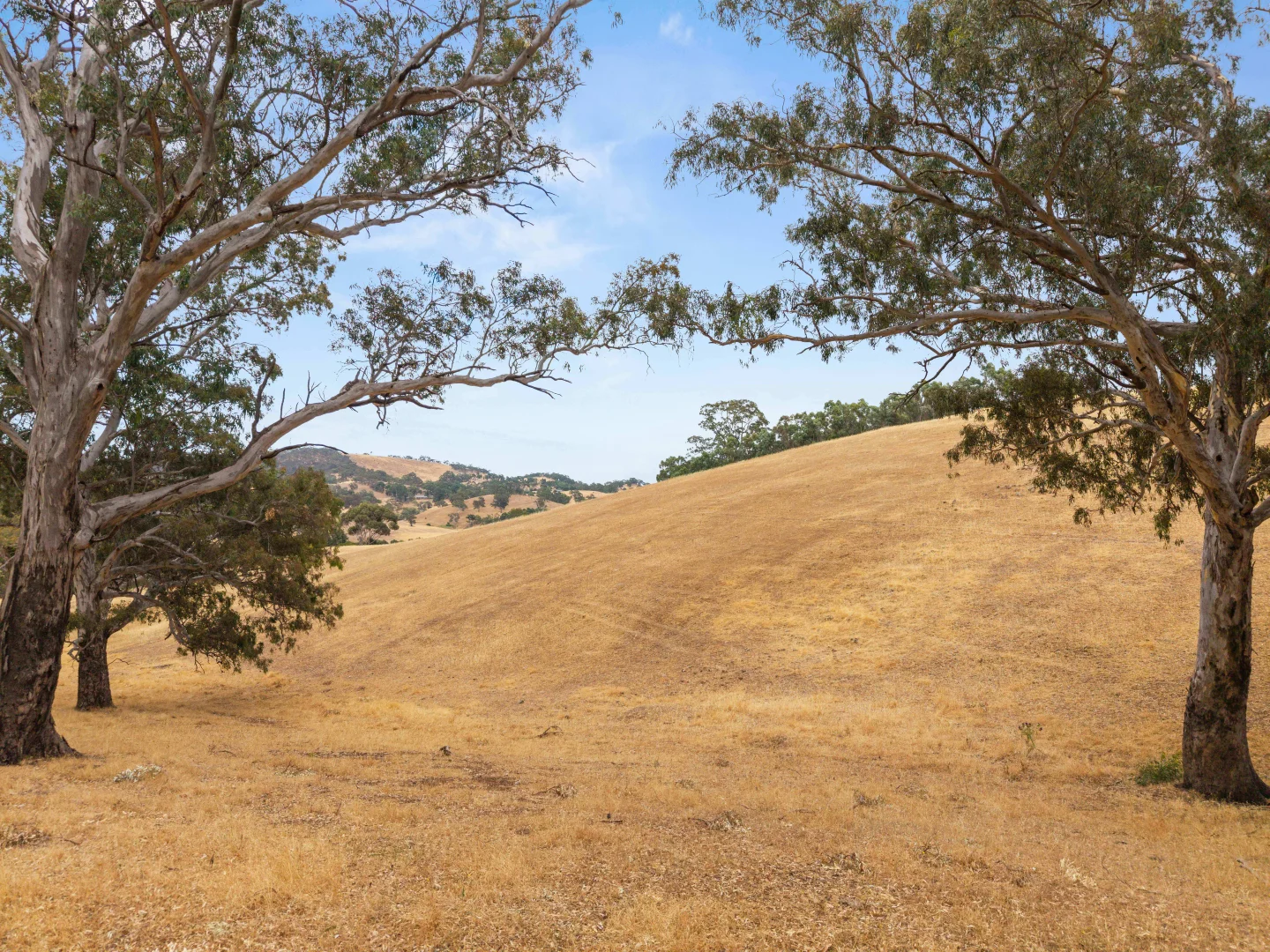 Additional image 16 of 226 Forreston Road, Forreston SA 5233