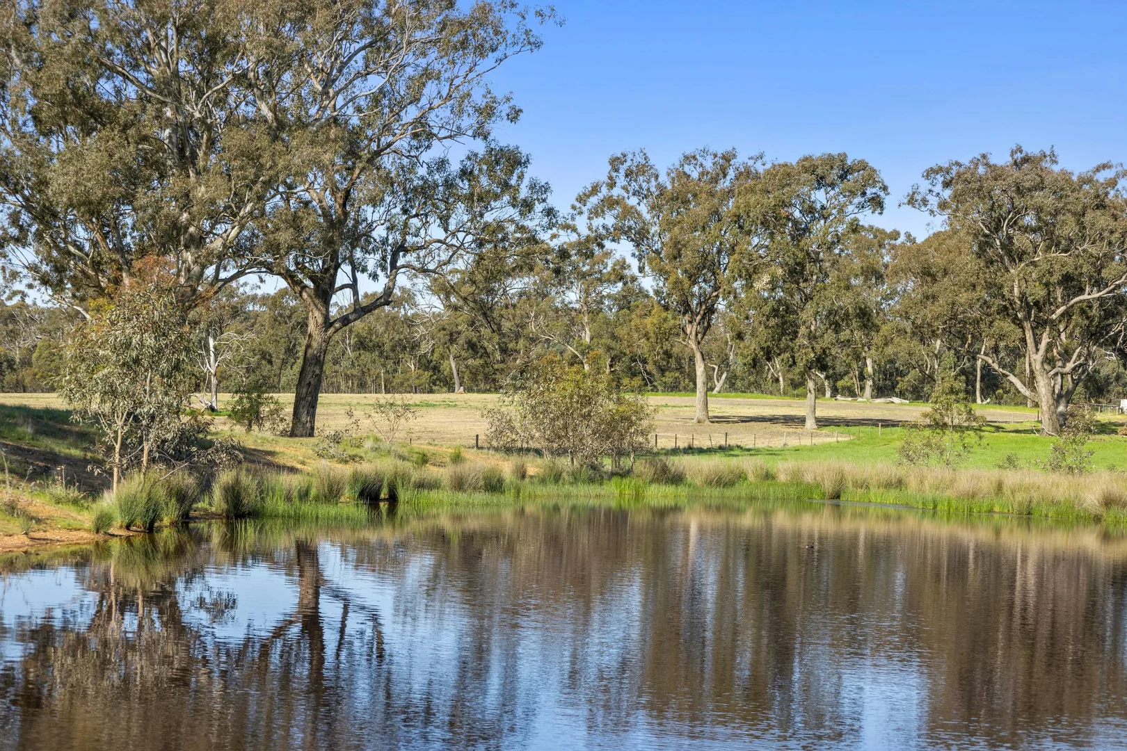 Additional image 10 of 189 Siddles Road, Redesdale VIC 3444