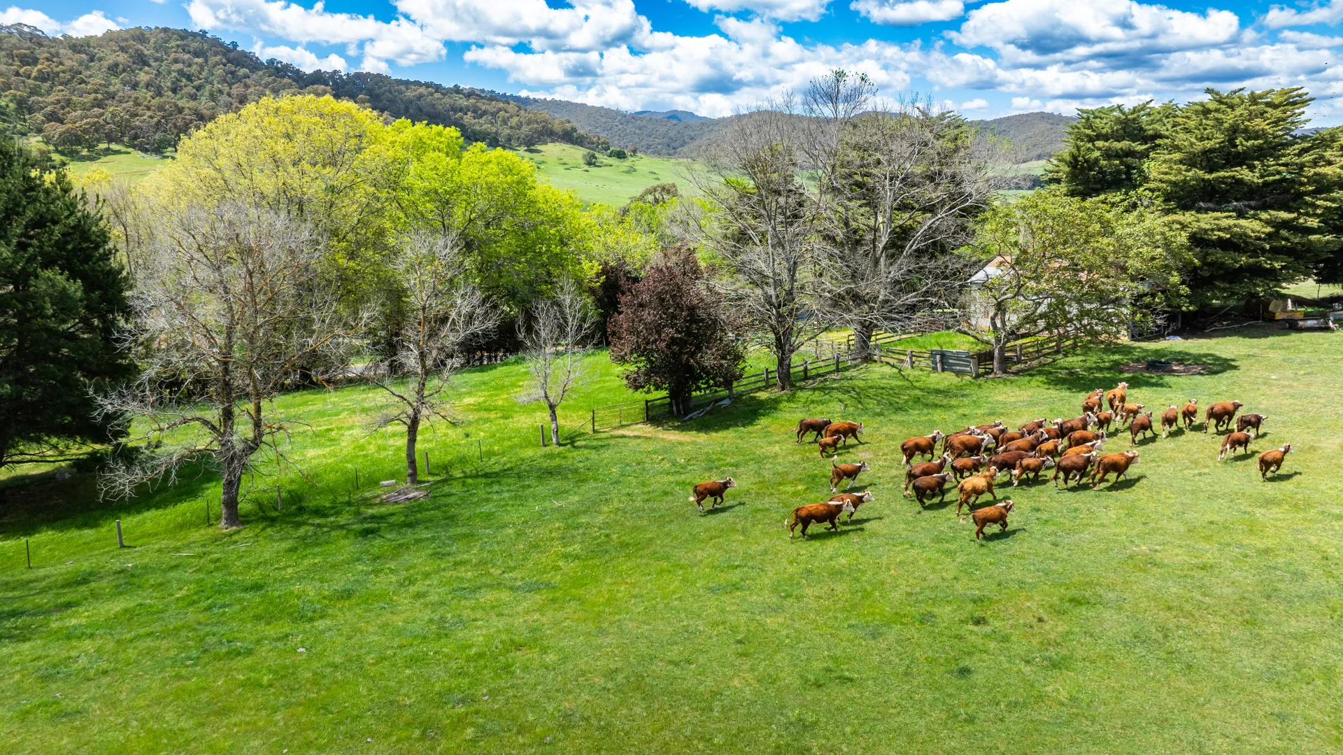 Additional image 14 of 'Grassmere'/2485 Tallangatta Creek Rd, Tallangatta Valley VIC 3701