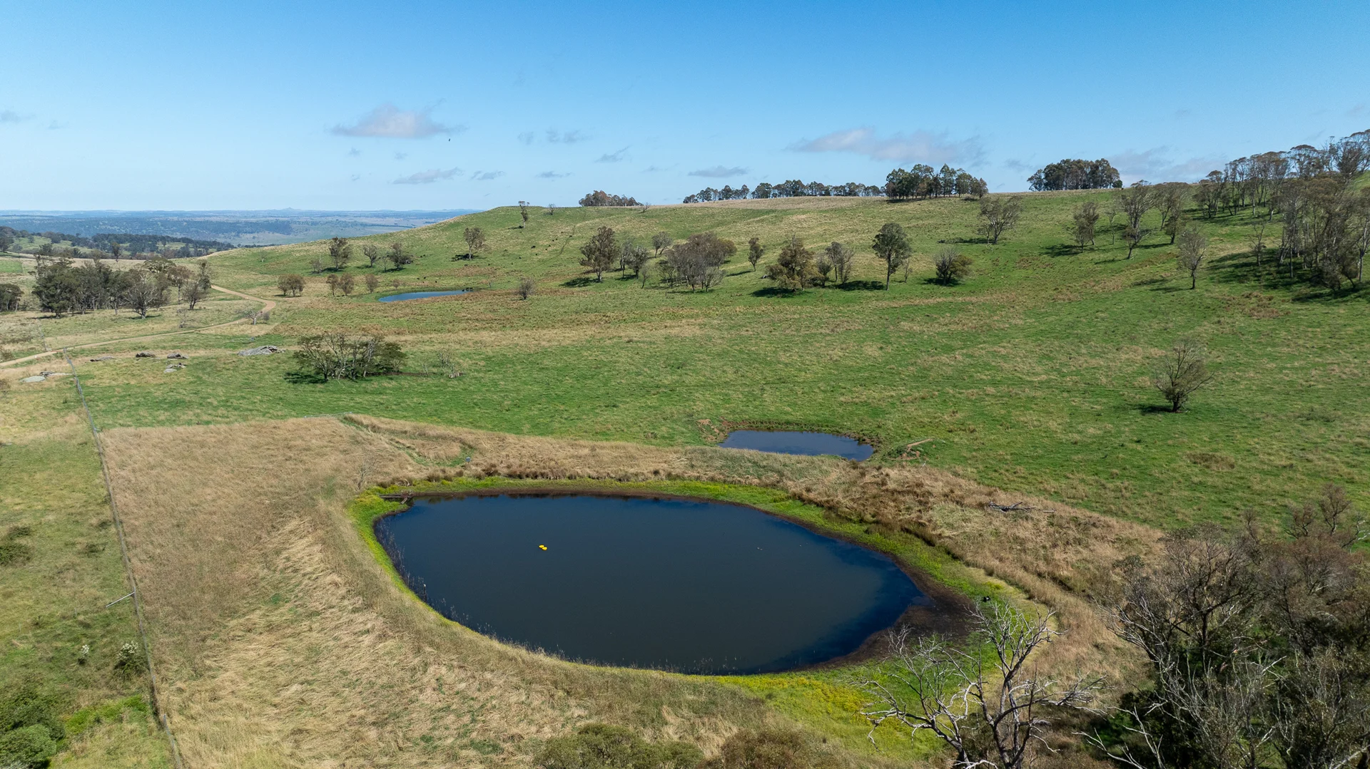 Additional image 10 of 1763 Wongwibinda Road, Armidale NSW 2350