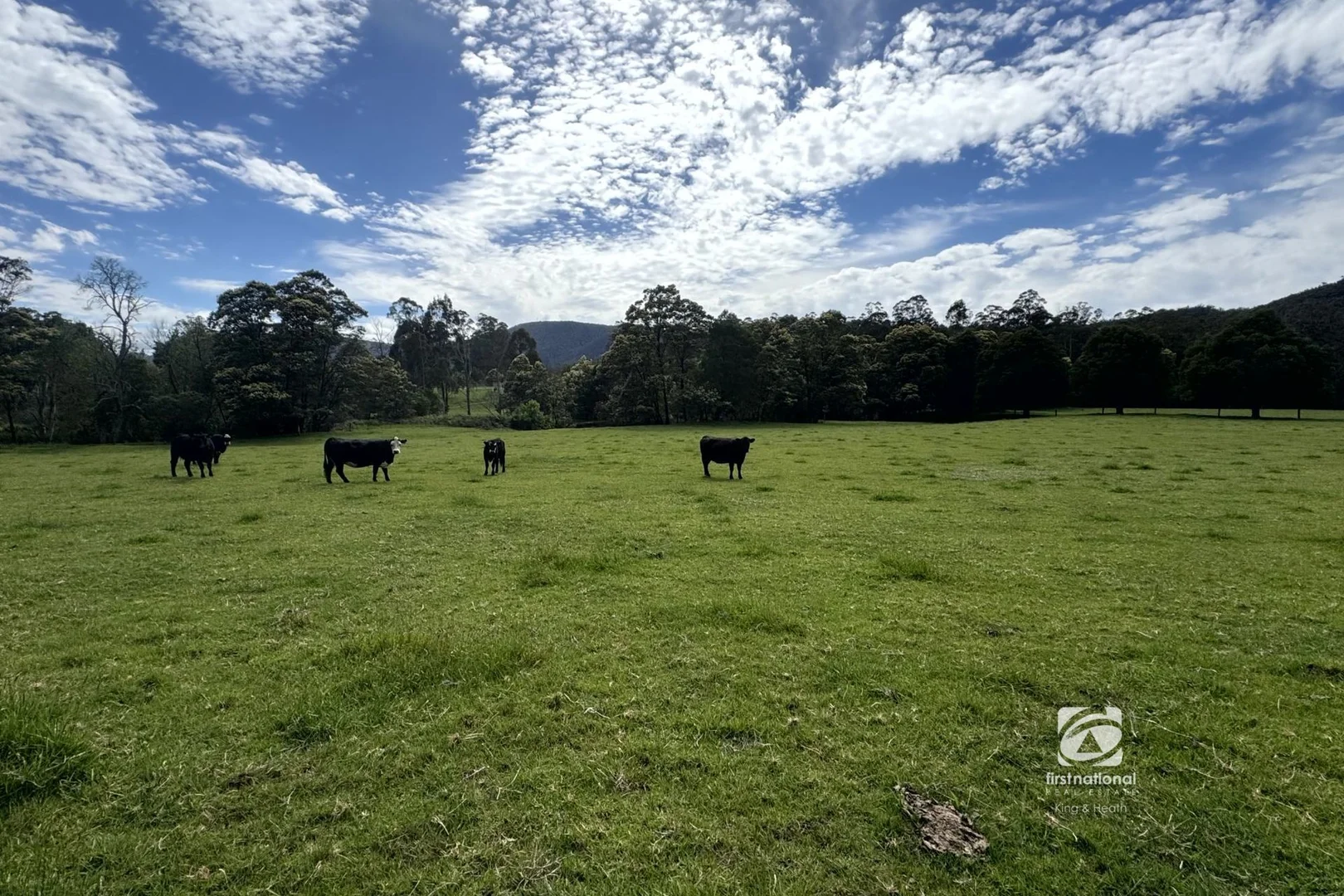 Additional image 31 of 2825 Combienbar Road, Combienbar VIC 3889