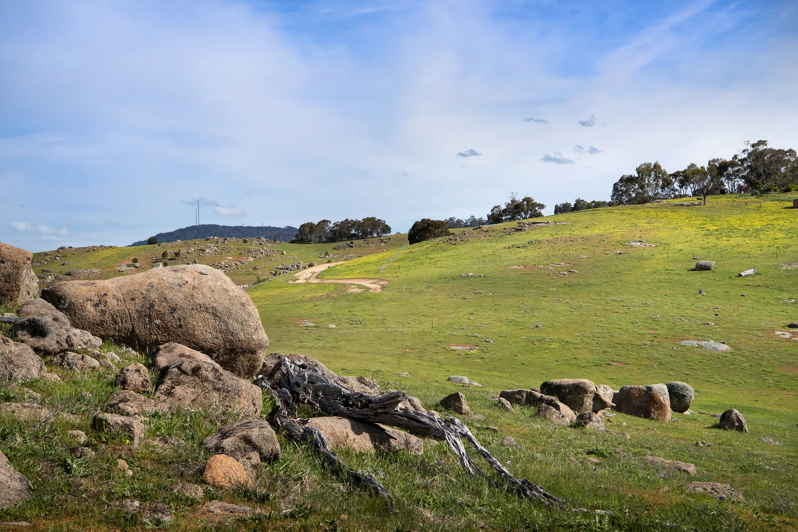 Additional image 3 of 93 Youngs Lane, Sedgwick VIC 3551